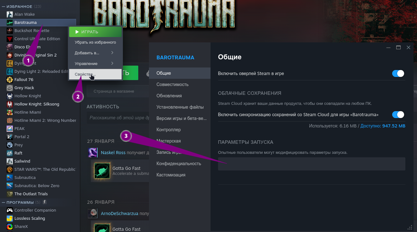 Где вводить параметры запуска Lua